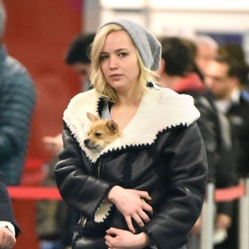 Čivavu řečenou Princezna Pipi Dlouhá punčocha si herečka osvojila z útulku v roce 2017.