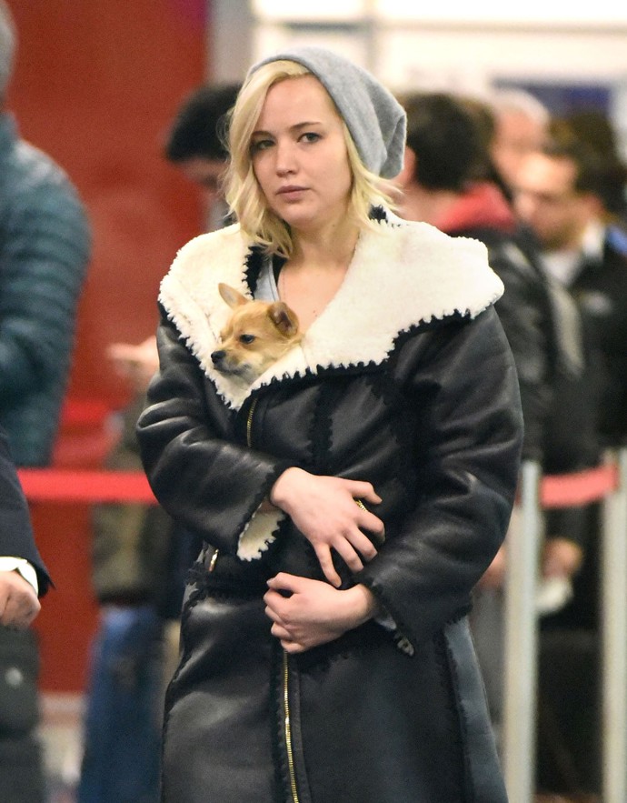 Čivavu řečenou Princezna Pipi Dlouhá punčocha si herečka osvojila z útulku v roce 2017.