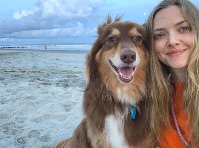 Společně žijí v malé osadě ve státě New York a do rodiny patří vedle dvou koček, prasátka, kozy a slepic také hereččin věrný pes Finn.