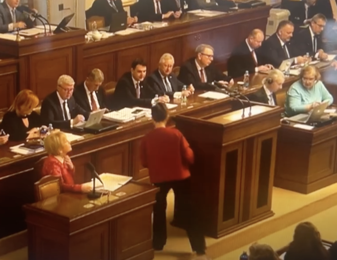 Olga Richterová z Pirátu chodila ve sněmovně pozadu.