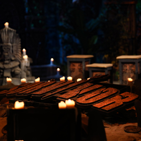 Survivor se vrací zpět.