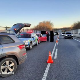 Policie u Václavic dohnala zloděje.