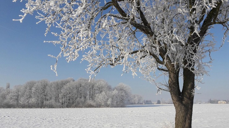 Denní horoskop na sobotu 17. 1. 2026: Panny by si měly dávat pozor na nové známosti a Střelci by si měli odpočinout