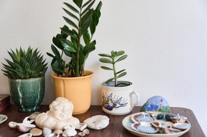 Květinové zátiší na stole