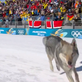 Nazgul se ocitnul na záběrech.