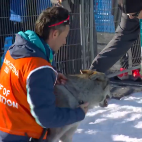 Nazgul byl následně odchycen.