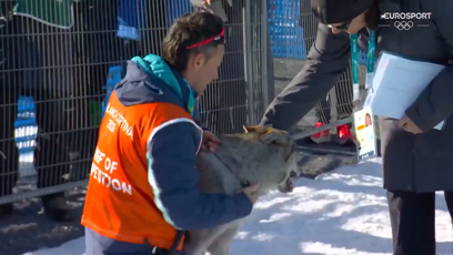 FOTO: Nazgul byl následně odchycen.