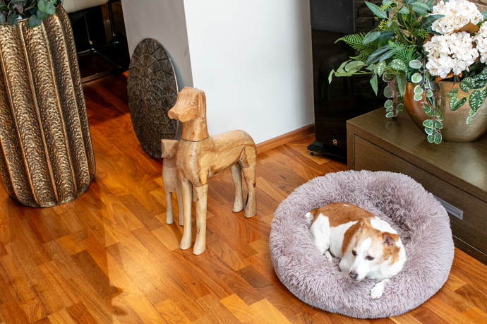 ...a vedle nich rodinný mazlíček.