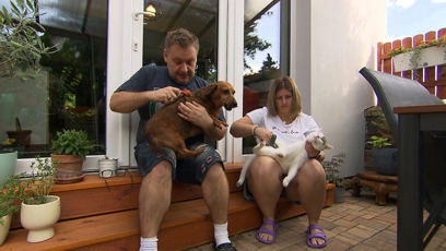 FOTO: Psi a kočky jsou významnou součástí domácnosti.