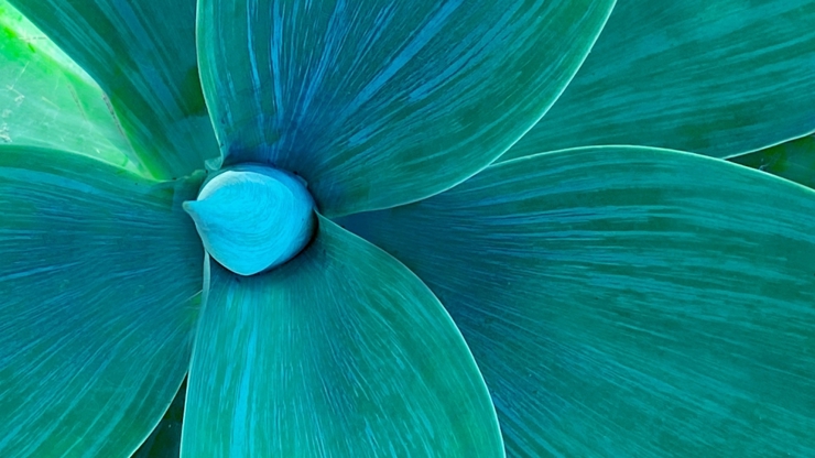 Design trendy roku 2026? Sofistikované barvy a hřejivější minimalismus