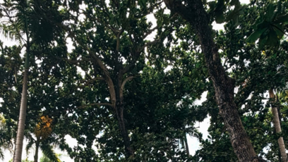 FOTO: Mirai a Sára potřebovali odpočinek.