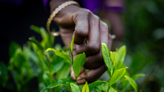 Malý každodenní rituál, který může změnit váš den