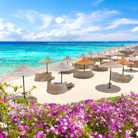 Hotel Malikia Resort Abu Dabbab najdete v egyptském letovisku Marsa Alam.