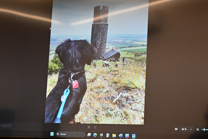 Promítaly se fotky zesnulého pejska. 