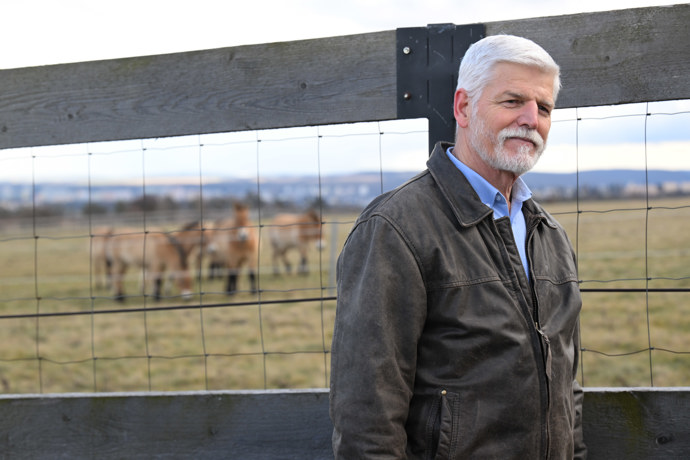 Petr Pavel u ohrady s koni Převalského.