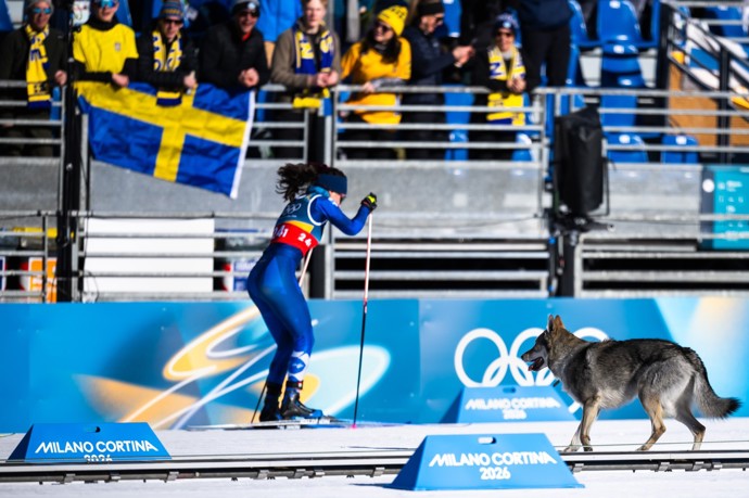 Nazgul vběhnul na lyžařskou dráhu.
