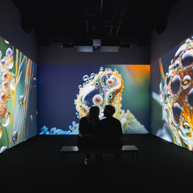 Aktuálně je v Signal Space k vidění výstava Echoes of Tomorrow.