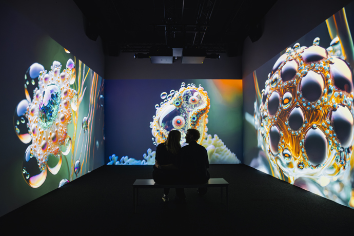 Aktuálně je v Signal Space k vidění výstava Echoes of Tomorrow.