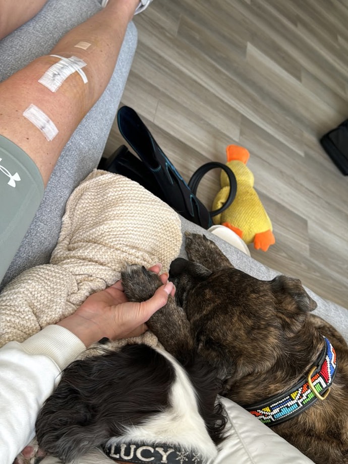 Lindsey Vonn s pejskem.