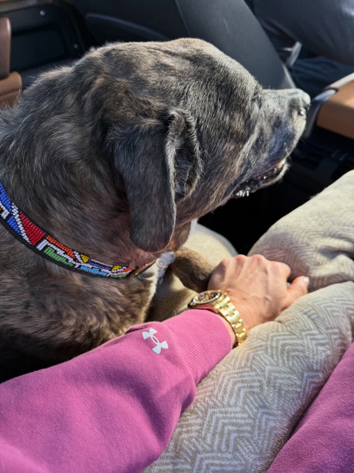 Lindsey Vonn sdílela snímky svého zesnulého psa.