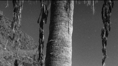 FOTO: Kordula Stropnická ukázala postavu.