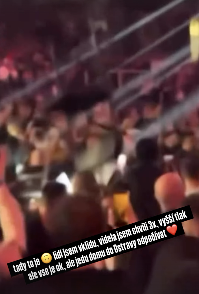 Někdo do davu hodil židli, která zasáhla Hanku Gelnarovou. 