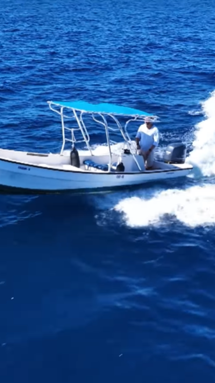 Nová řada Survivoru se blíží. 