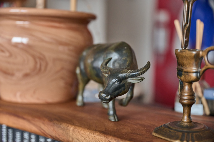 Buvola si Martina Hudečková přivezla s Jurajem Herzem z Thajska