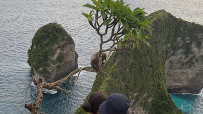FOTO: Bali pro něho bylo osudným.
