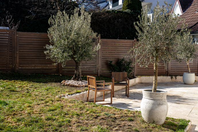 Na zahradě zasadila Veronika olivy, který prý bez problému přezimují.