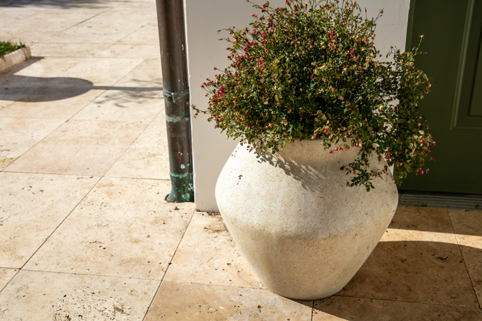 Okolí domu zdobí květiny.