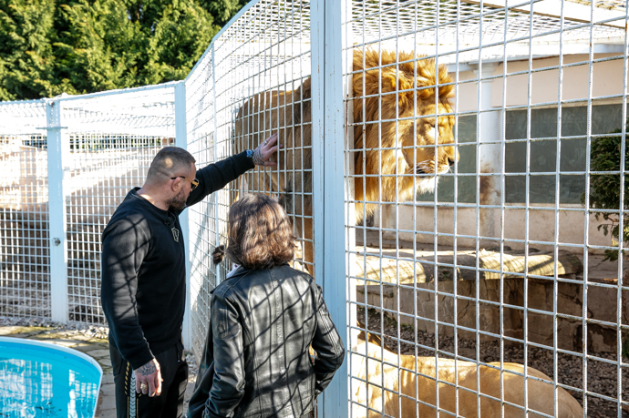 Jako první nám ukázal svoji největší pýchu - lva Kinga a lvice Elsu a Princeznu.