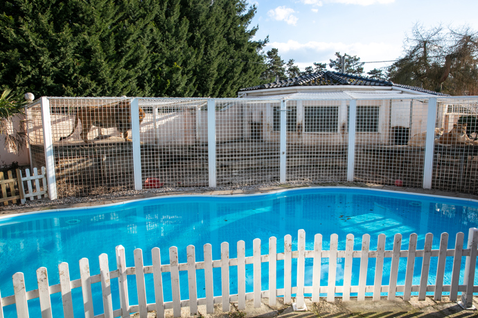 Hned vedle klece se nachází bazén, kde se koupe většinou jen pán domu. Není totiž vyhřívaný a Karlos miluje otužování.