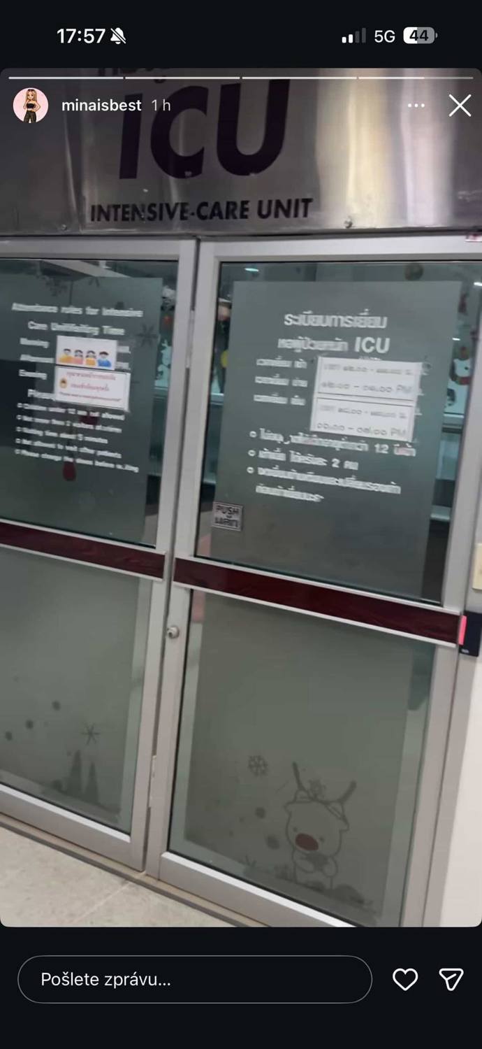 Dominika Elischerová bojuje o život.