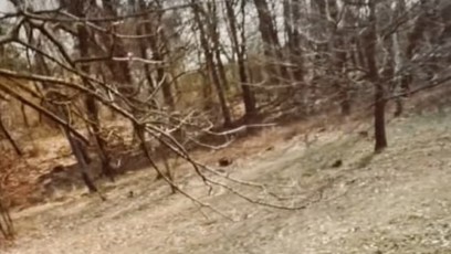 FOTO: Zdeněk Polívka se svou novou přítelkyní.