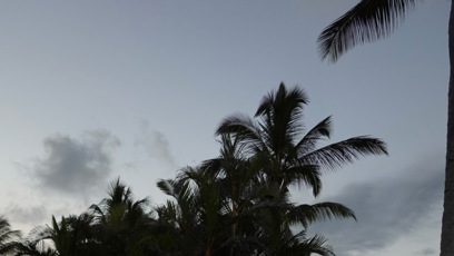 FOTO: Charlotte Ella Gottová vyrostla.