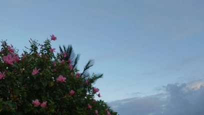 FOTO: Charlotte Ella Gottová ukázala bříško.