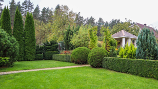 Ochrana zahrady, bazénu a zahradního domku před zloději