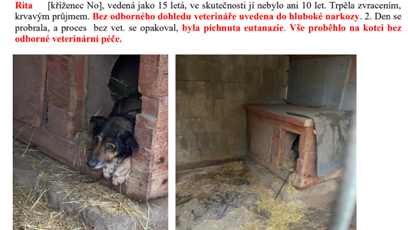 FOTO: Osed fenky Rity.