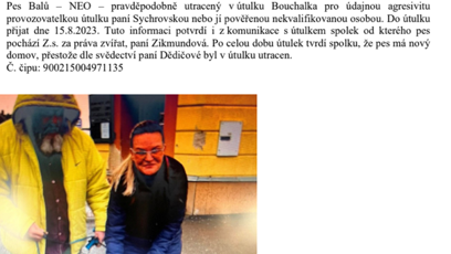 FOTO: Příklad osudu jednoho ze psů v útulku Bouchalka.