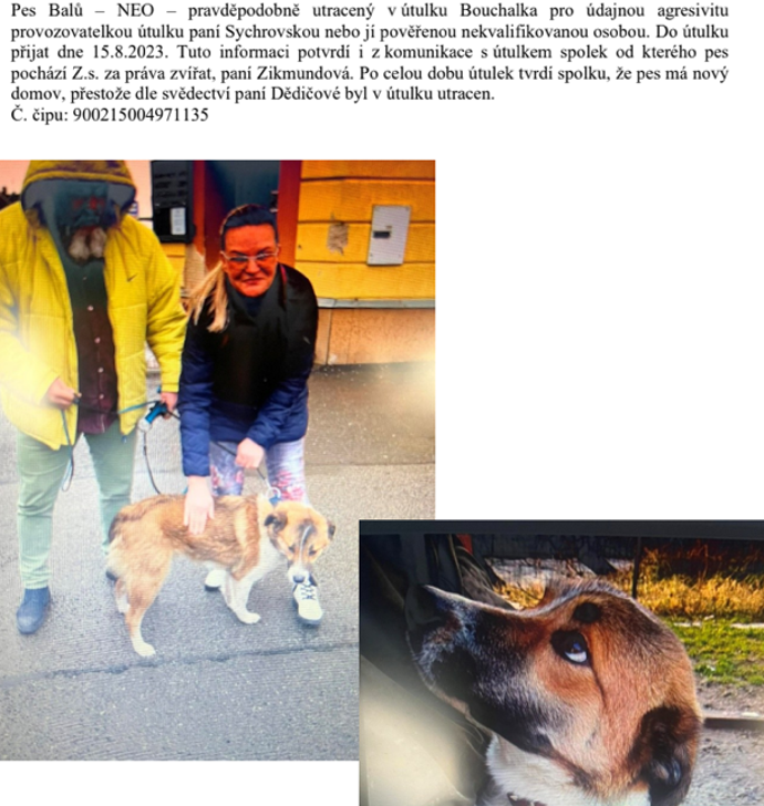 Příklad osudu jednoho ze psů v útulku Bouchalka.
