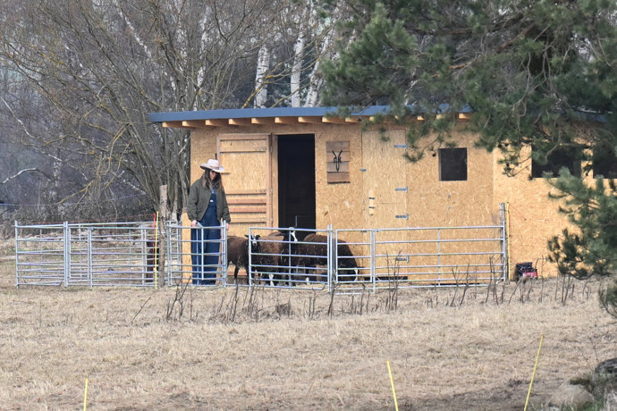 Farma Vojtky Kotka se už pořádně rozrostla.