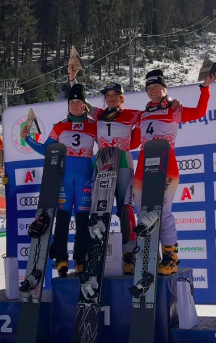 Zahraniční sportovní svaz okamžitě obvinil cizince z toho, že jel pod vlivem alkoholu.