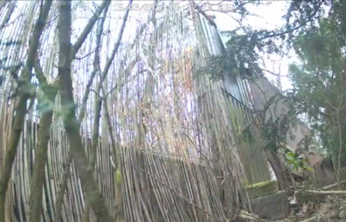 Přes tuto branku letěla kančí hlava.