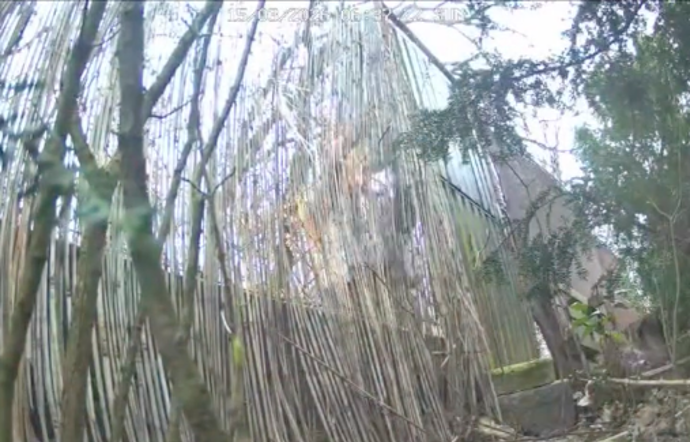 Maskovaný muž za plotem.