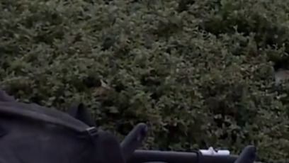 FOTO: Muž srazil ženu s kočárkem.