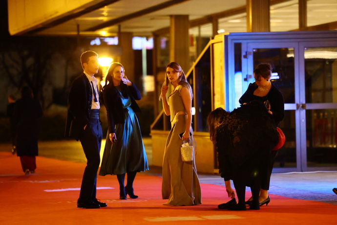 Odchody z Českých lvů.