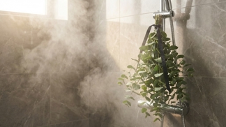 Pár větviček z květinářství upevněte přímo na sprchovou hlavici: Vaše dýchací cesty i unavená mysl zažijí nečekané probuzení jako v luxusním wellnessu