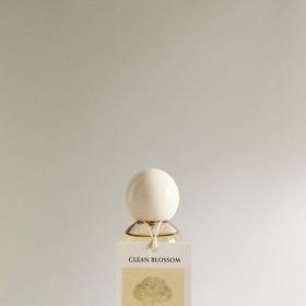 Pořídit si můžete i osvěžovač vzduchu ve spreji. Tento prodává Zara za 379 Kč.