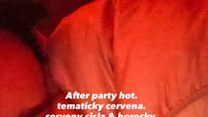 FOTO: Ewa Farna se z afterparty omluvila skrze sociální sítě.
